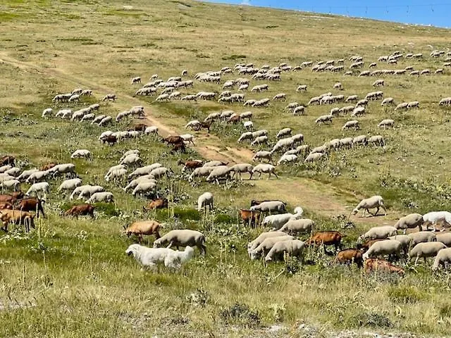 Casale Della Maiella アパート グアルディアグレーレ